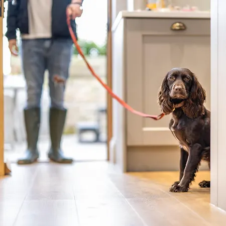 1 Bed In Richmond 88589 * Easby