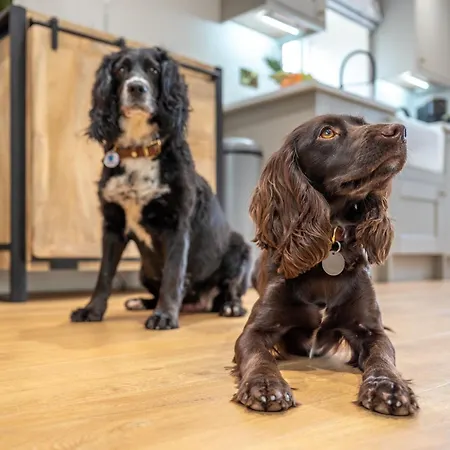 1 Bed In Richmond 88589 펜션