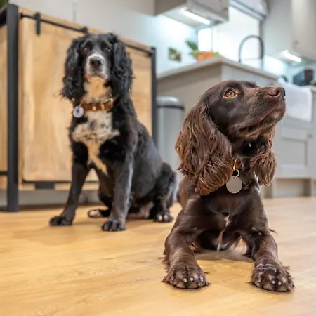 1 Bed In Richmond Oc-88589