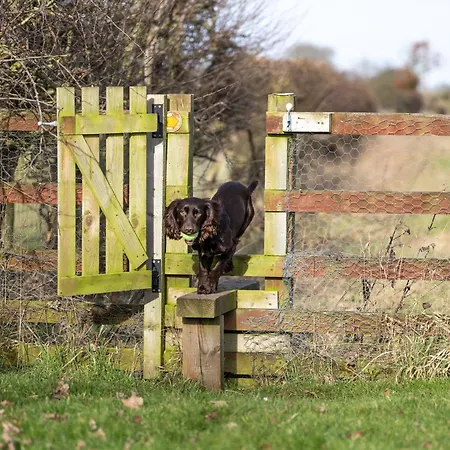 1 Bed In Richmond 88589 Дом отдыха *