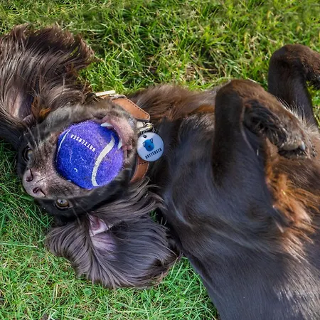 1 Bed In Richmond 88589