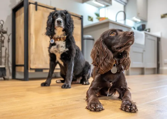 1 Bed In Richmond Oc-88589 بيت للعطل