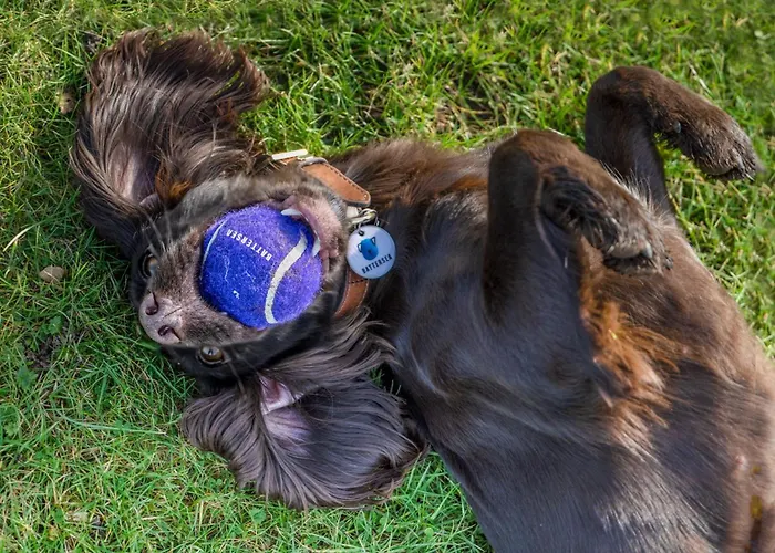 1 Bed In Richmond Oc-88589